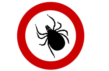 Program polityki  zdrowotnej w zakresie przeciwdziałania boreliozie na rzecz mieszkańców Powiatu Gliwickiego w roku 2025