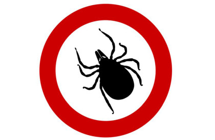 Program polityki  zdrowotnej w zakresie przeciwdziałania boreliozie na rzecz mieszkańców Powiatu Gliwickiego w roku 2025